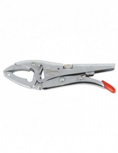 Pince Etaux Bec Long 2