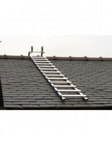 Echelle Toit Klipeo Pack 330mm + Crochet