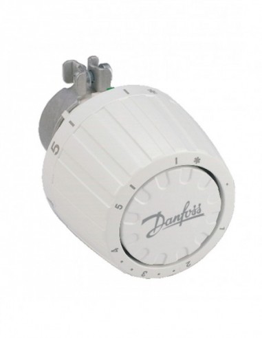 Tete Thermost Ancien Modele P/Ra