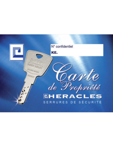 Heracles Serrure 3 Points En Applique 4000 S Omega