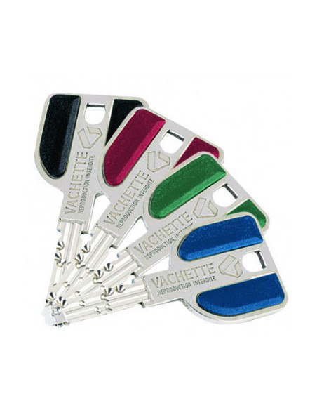 Mécanisme De Carénée 8000 Vachette