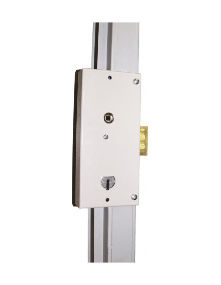 Fichet Serrure 3 Points En Applique Sur Montant Sans Souci