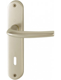 Hoppe Ensemble Sur Plaques...