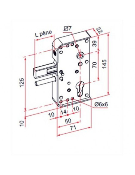 Serrure De Portail En Applique Tirard Série Ga
