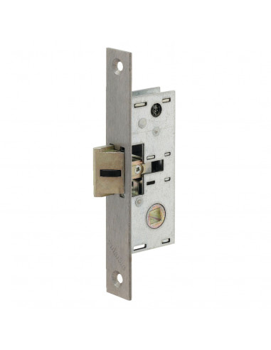 Metalux Monopoint À Larder Profil Étroit Pêne...