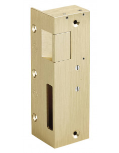 Gâche électrique Beugnot...