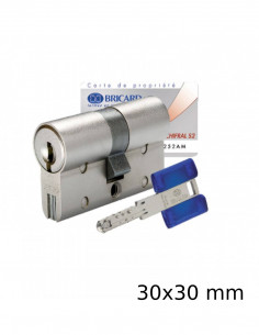 Bricard Cylindre Européen... 2