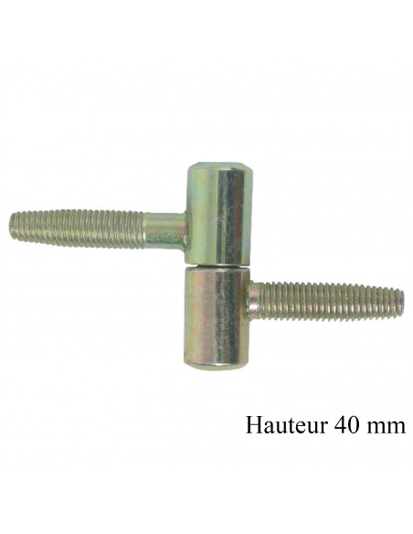 Jardinier Massard Fiche à Visser 13mm Pour Porte Et Fenêtre (Lot de 10)