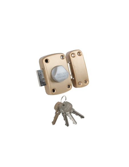 Verrou Bricard ALPHA 2 Diamètre 23 mm À Bouton Triangulaire