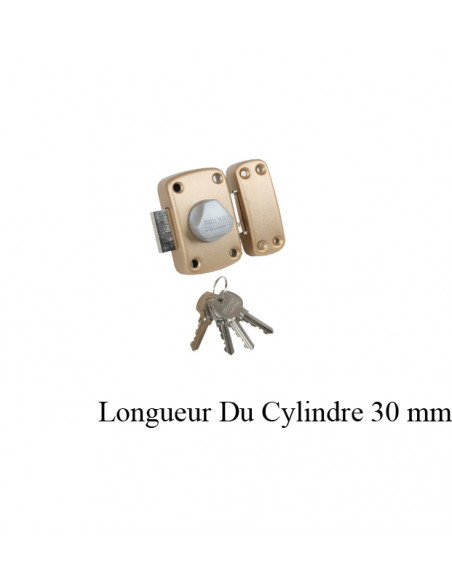 Verrou Bricard ALPHA 2 Diamètre 23 mm À Bouton Triangulaire