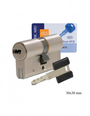Bricard Cylindre Double Entrée Européen Dual Xp S