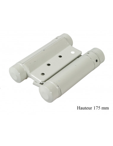 Ibfm Charnière Double Action