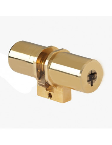 Pollux Cylindre Double entrée Monobloc Type Fichet