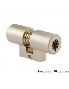 Pollux Cylindre Monobloc... 2