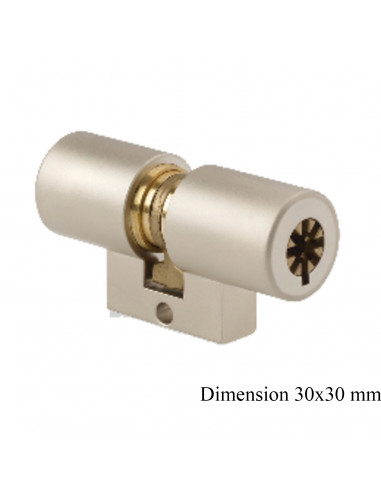 Pollux Cylindre Monobloc Type Fontaine