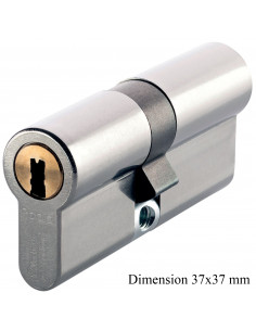 Vachette Cylindre Européen... 2