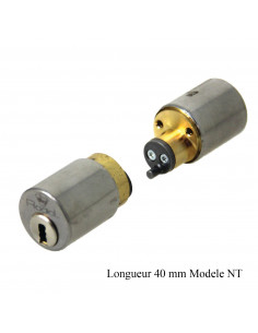 Vachette Jeu De Cylindres... 2