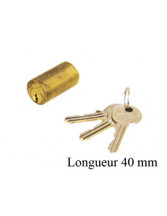 JPM Cylindre extérieur pour... 2