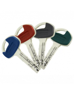 Heracles Cylindre Européen... 2