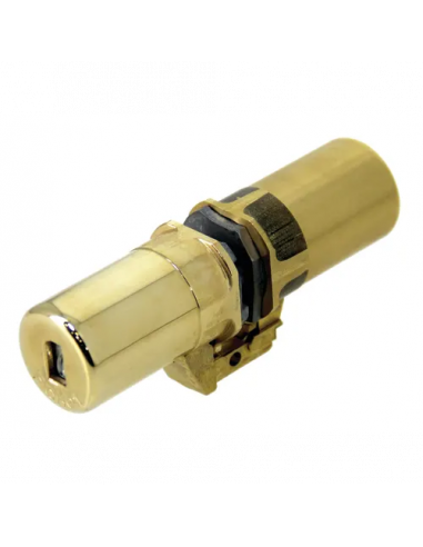 Fichet Cylindre Monobloc À Lanterne À Clé 787 Z