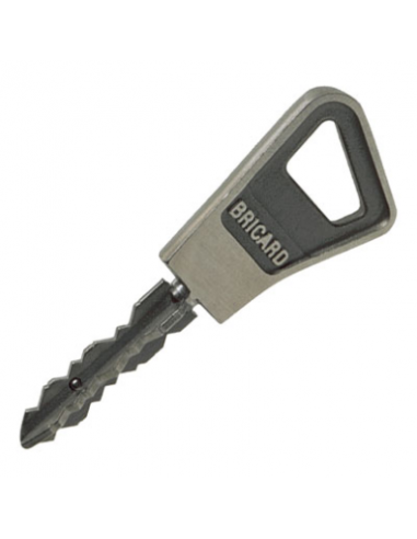 Bricard Cylindre A Bouton A bille Super-Surete