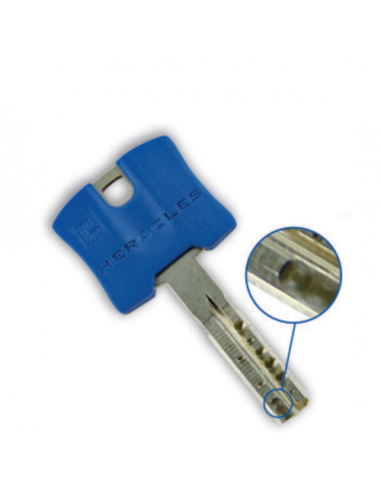 Carénée Sesame 1 HXR Heracles