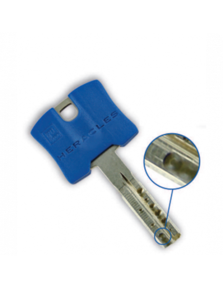 Carénée Sesame 1 HXR Heracles