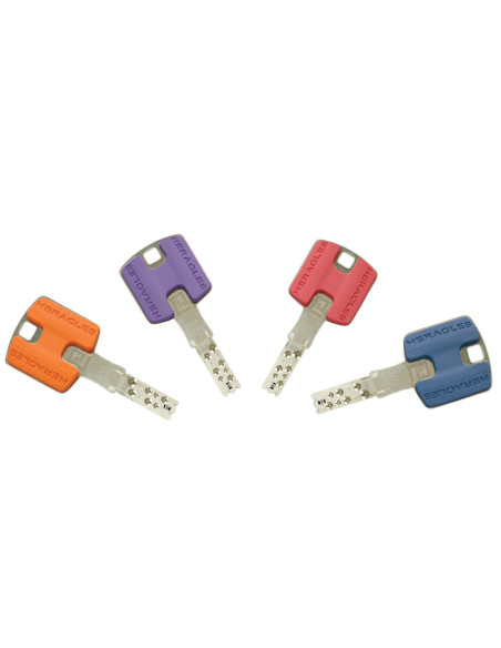 Cylindre Monobloc Héraclès HQ2 Type TOU HQ2 BRIC