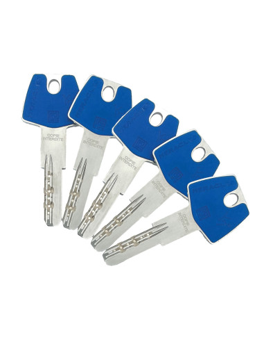 Cylindre Héraclès Double Entrée Y7C-137821