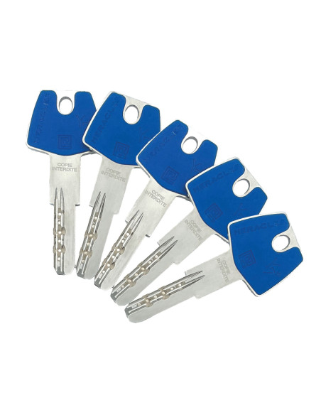 Cylindre Héraclès Double Entrée Y7C-137821