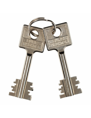 Coffre fort Burg Wachter CW5 350S CityLine...